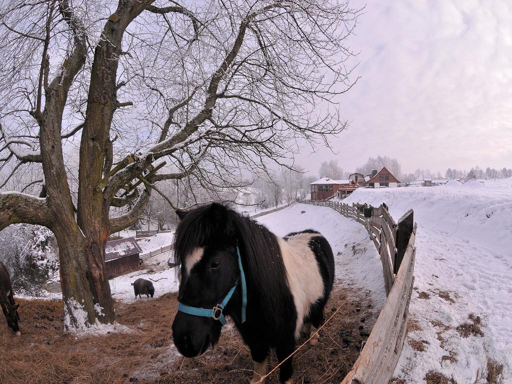فيلا Rancho Zapotoczny Łagów المظهر الخارجي الصورة